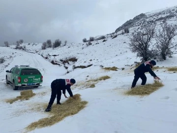 Daha huzurlu bir Adıyaman için Jandarma görevinin başında.