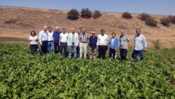 Nurdağı’nda Şekerpancarı üreticileri, mazot, gübre ve işçi fiyatlarına isyan etti