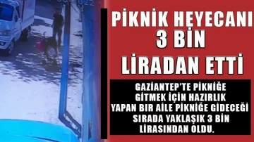 Piknik heyecanı 3 bin liradan etti